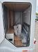 Used Bailey Adamo 69-4 2021 motorhome Image