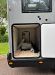 New Chausson Sport Line S695 (Automatic) 2025 motorhome Image