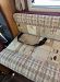 Used Autosleeper Devon Anniversary Edition 1995 motorhome Image